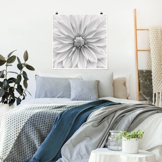 Wandbilder Botanische Blüte in Weiß