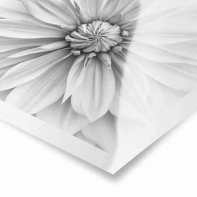 Poster - Botanische Blüte in Weiß - Quadrat 1:1