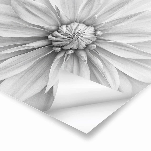 Poster - Botanische Blüte in Weiß - Quadrat 1:1