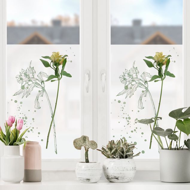 Fensterbild weiß Botanisches Aquarell - Lilie