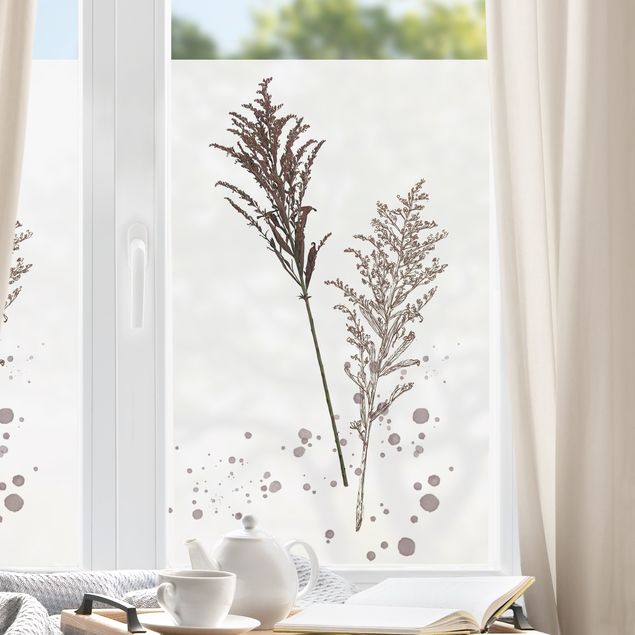 Fensterbilder Blumen Botanisches Aquarell - Schwingelschilf