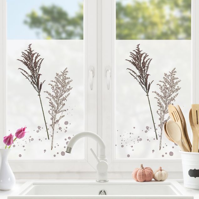 Fensterfolie Gräser Botanisches Aquarell - Schwingelschilf