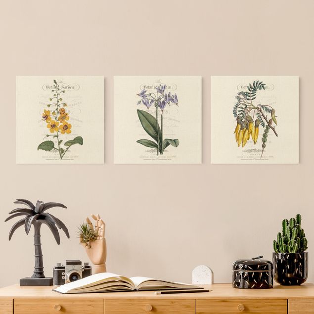 Retro Wandbilder Botanisches Tableau Set I