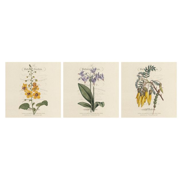 Bilder für die Wand Botanisches Tableau Set I