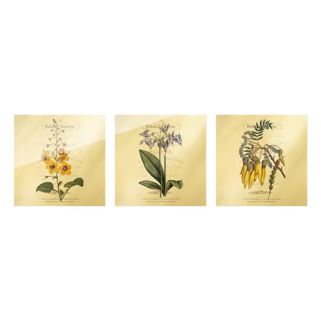 Glasbilder Botanisches Tableau Set I
