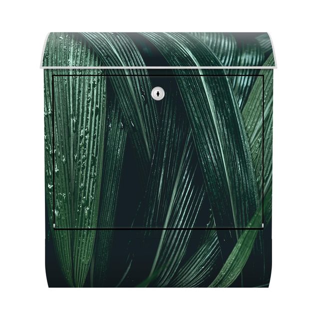 Briefkasten grün Grüne Palmenblätter