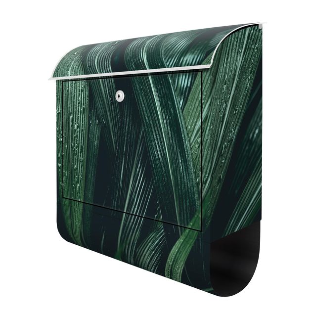 Briefkasten Design Grüne Palmenblätter