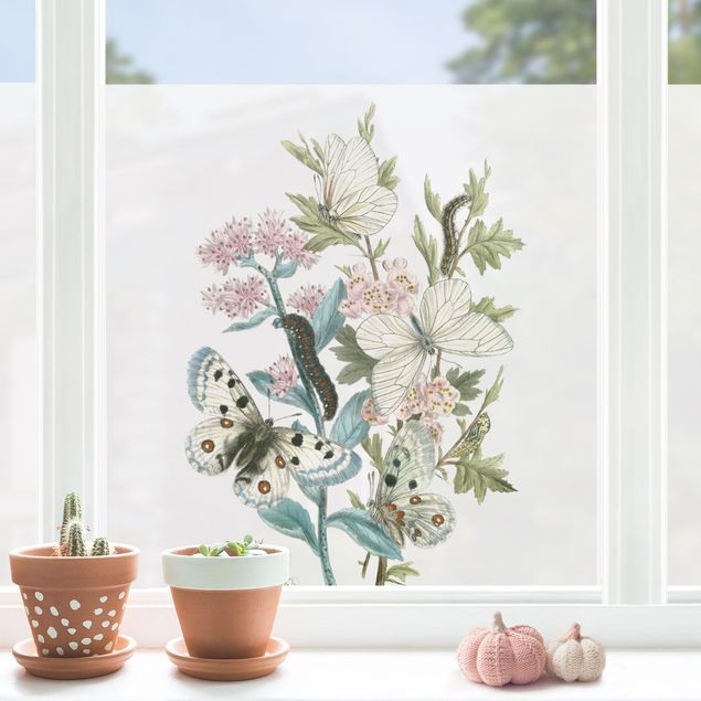 Fensterbilder Tiere Britische Schmetterlinge I