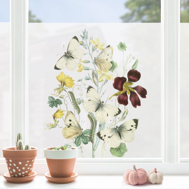 Blumen Fensterbilder Britische Schmetterlinge II