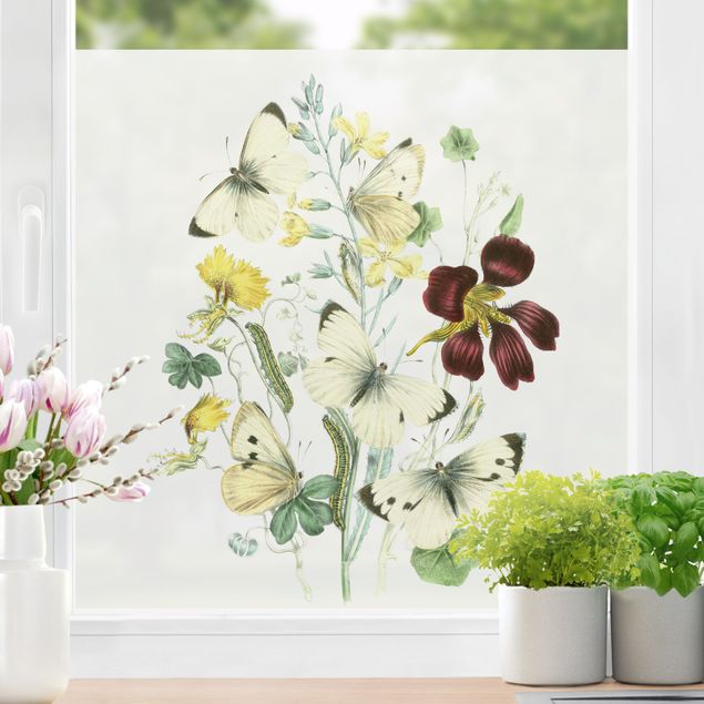 Fensterbild Tiere Britische Schmetterlinge II