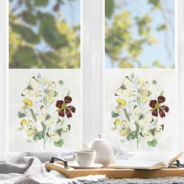 Fensterbild weiß Britische Schmetterlinge II
