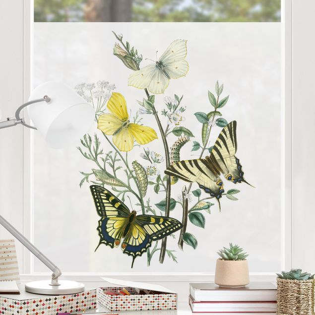 Tier Fensterbilder Britische Schmetterlinge III