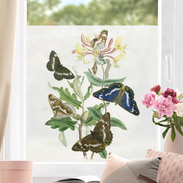 Fensterbilder Blumen Britische Schmetterlinge IV