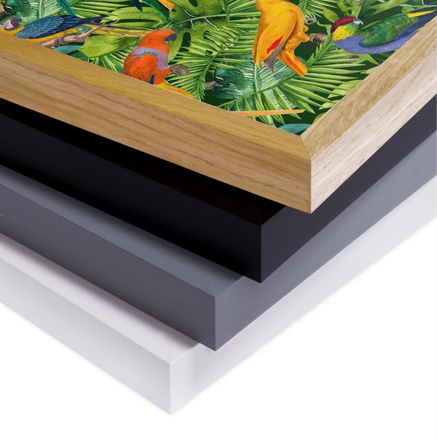 Bild mit Rahmen - Bunte Collage - Papageien im Dschungel - Quadrat 1:1