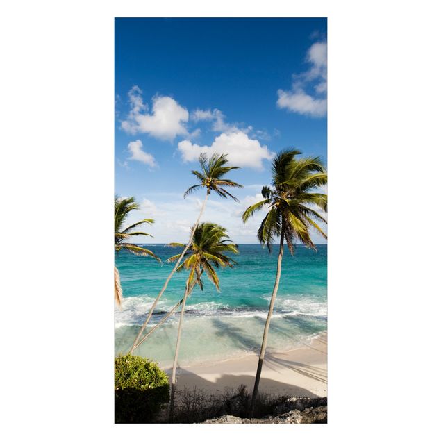 Dusch Rückwände Beach of Barbados
