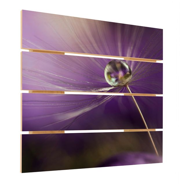 Holzbild - Pusteblume in Violett - Quadrat 1:1