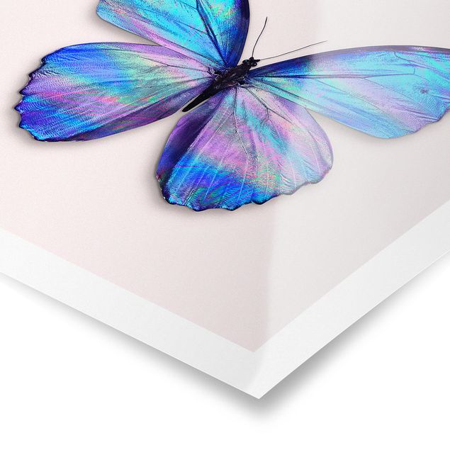 Poster - Jonas Loose - Holografischer Schmetterling - Quadrat 1:1