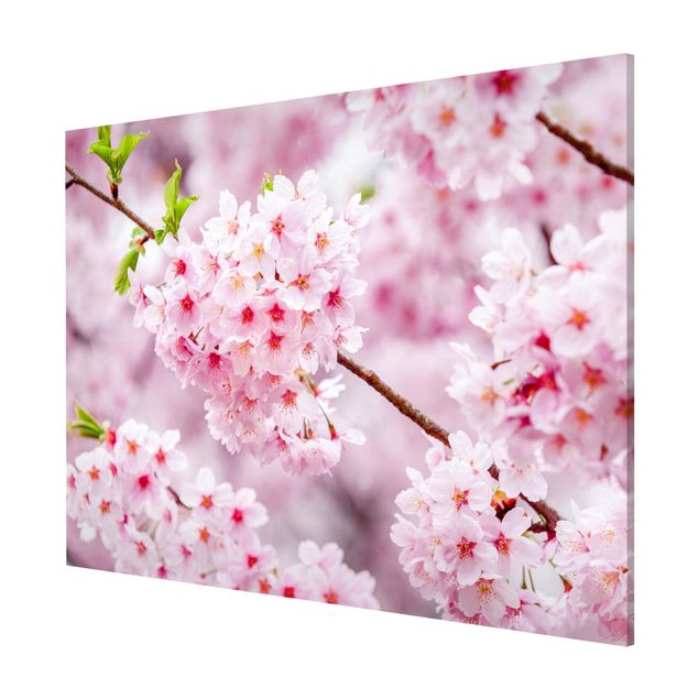 Magnettafel Skyline Japanische Kirschblüten