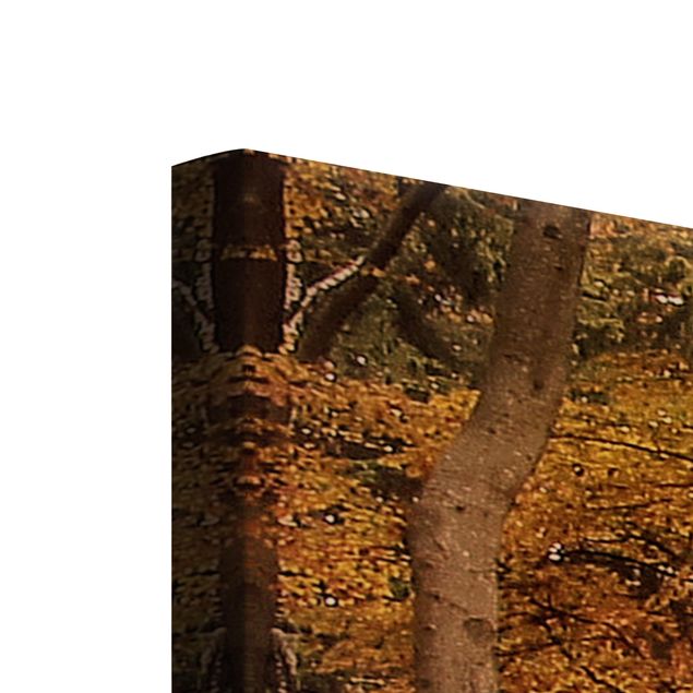 Leinwandbild 3-teilig - Herbstspaziergang - Collage 1