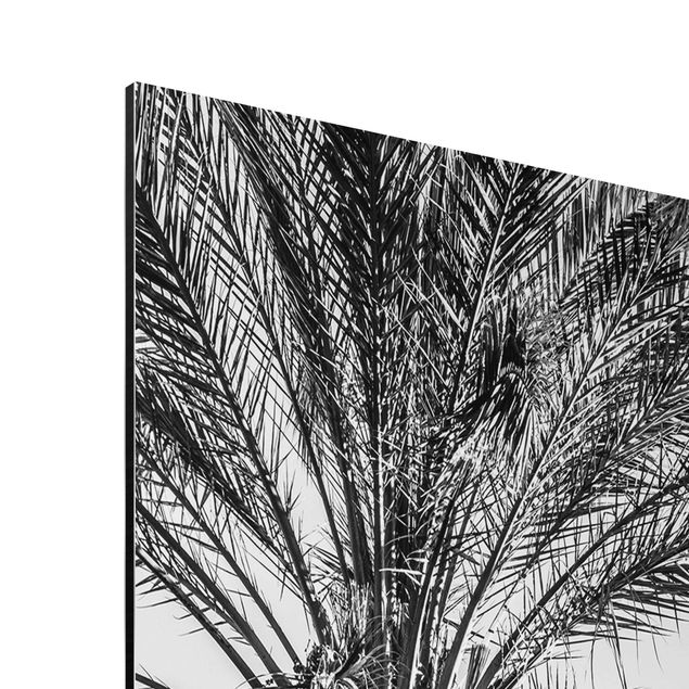 Aluminium Print gebürstet - Palmen im Sonnenuntergang Schwarz-Weiß - Hochformat 4:3