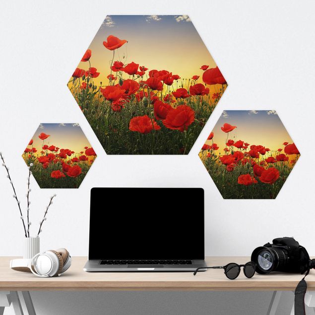 Hexagon Bild Forex - Mohnblumenfeld im Sonnenuntergang