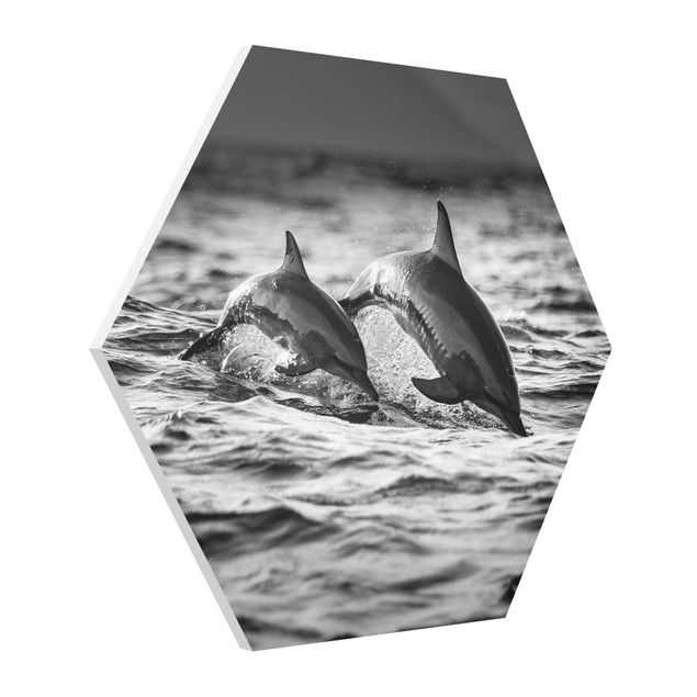 Hexagon Wandbilder Zwei springende Delfine