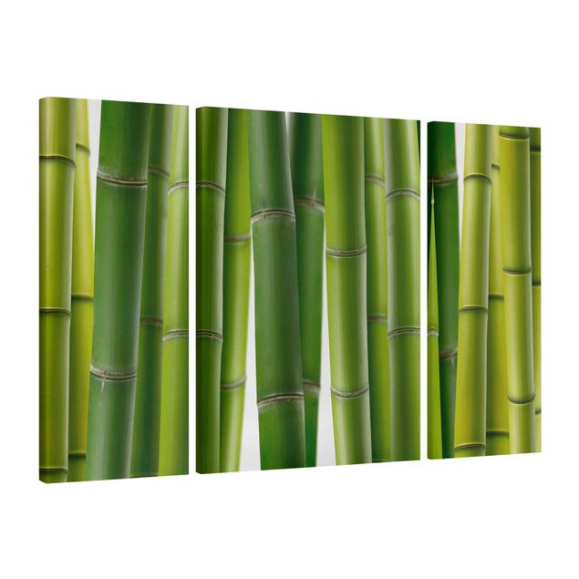 Leinwandbilder Wald Bambuspflanzen