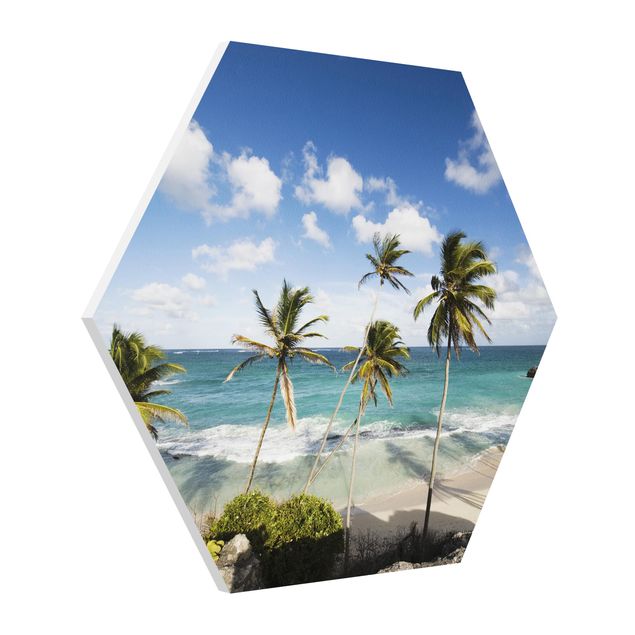 Hexagon Bild Forex - Beach of Barbados