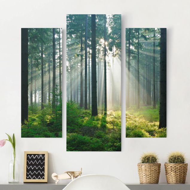 Wandbilder XXL Enlightened Forest