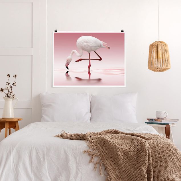 Tiere Poster Flamingo Dance