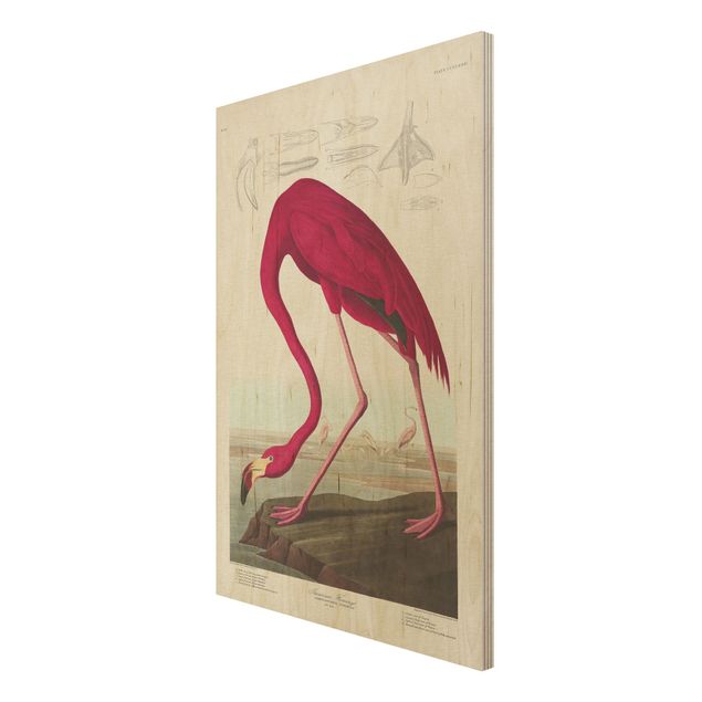 Holzbilder modern Vintage Lehrtafel Amerikanischer Flamingo