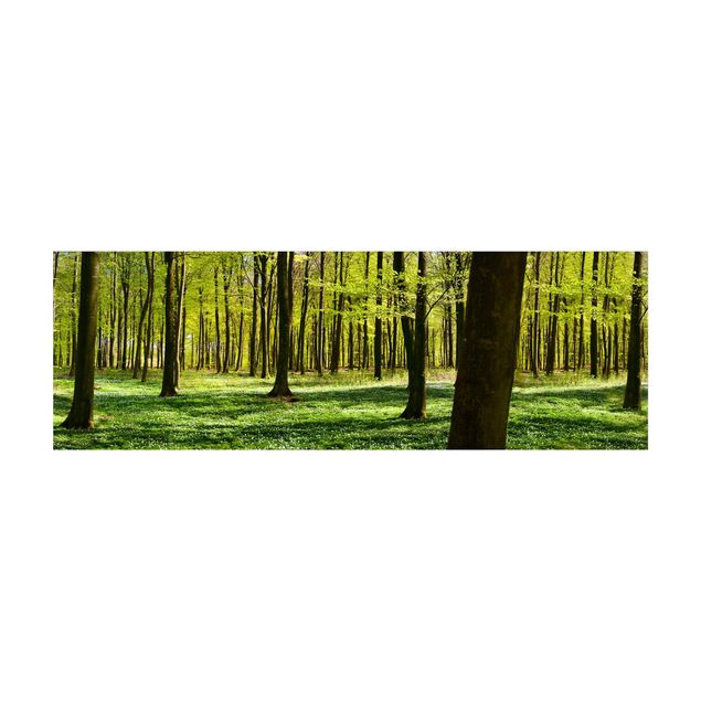Teppich Wald Waldwiese