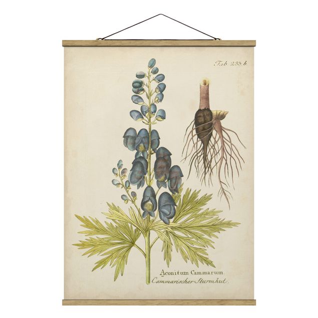 Stoffbild mit Posterleisten - Vintage Botanik in Blau Sturmhut - Hochformat 3:4
