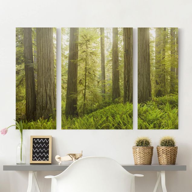Leinwandbild 3-teilig - Redwood State Park Waldblick - Triptychon