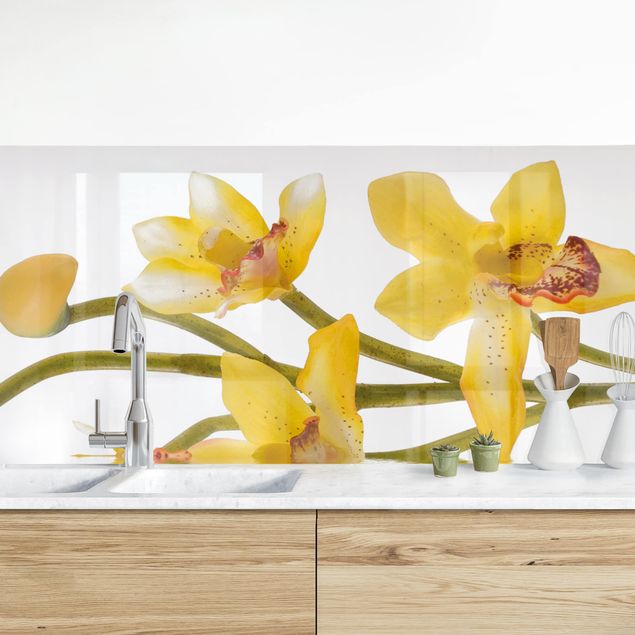 Küchenrückwände Platte Saffron Orchid Waters