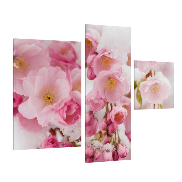Bilder für die Wand Schneebedeckte Kirschblüten