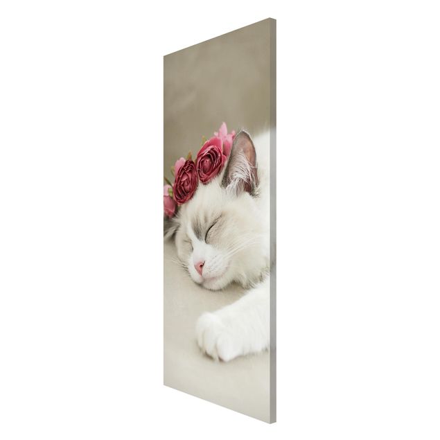Magnettafel Tiere Schlafende Katze mit Rosen