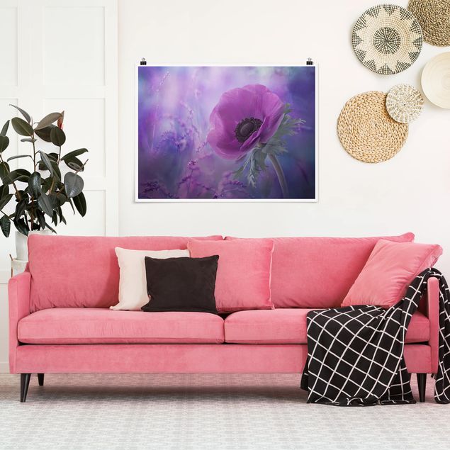 Poster - Anemonenblüte in Violett - Querformat 3:4