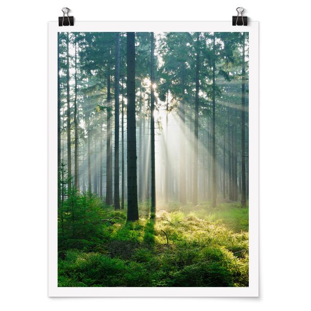 Poster - Enlightened Forest - Hochformat 3:4