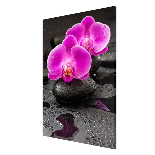 Magnettafel Blumen Pinke Orchideenblüten auf Steinen mit Tropfen