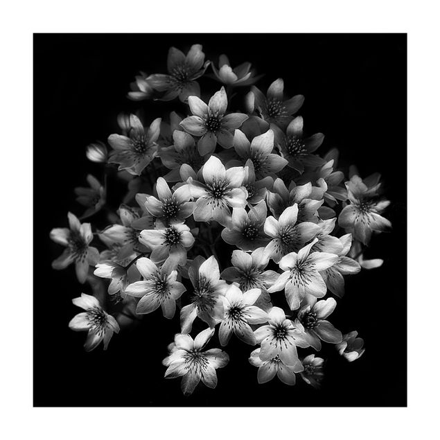 Teppich Blumen Dunkler Clematis Strauß