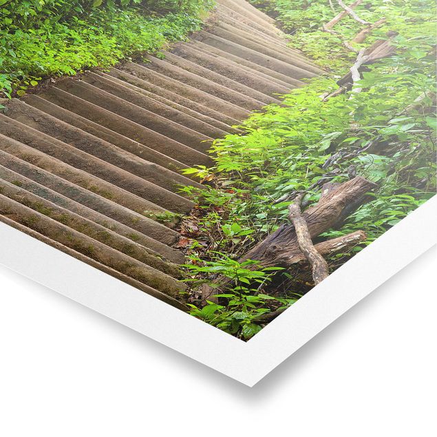 Poster - Treppenaufstieg im Wald - Quadrat 1:1