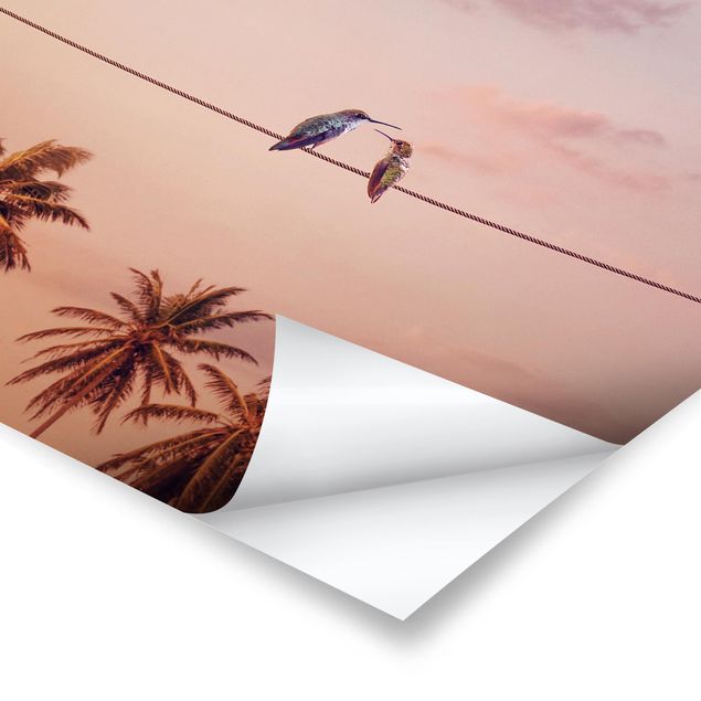 Poster Sonnenuntergang mit Kolibris