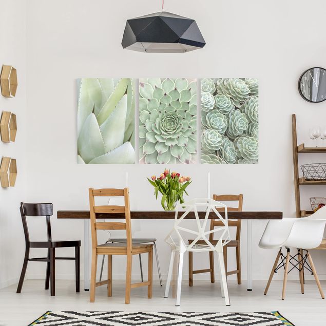 Wandbilder Wohnzimmer modern Agave und Sukkulenten Trio