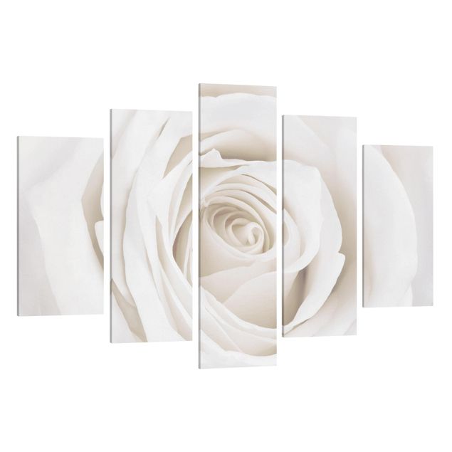 Leinwandbild 5-teilig - Pretty White Rose