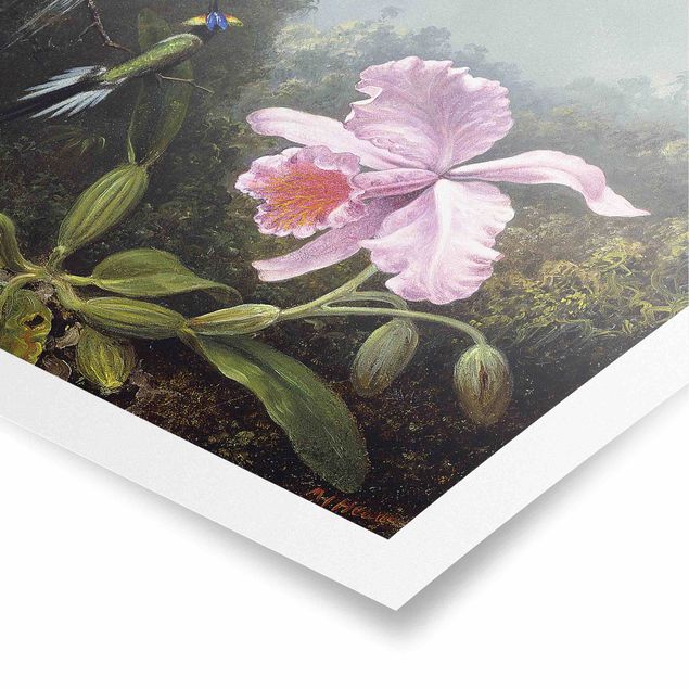 Kunstdruck Martin Johnson Heade Martin Johnson Heade - Stillleben mit Orchidee und zwei Kolibris