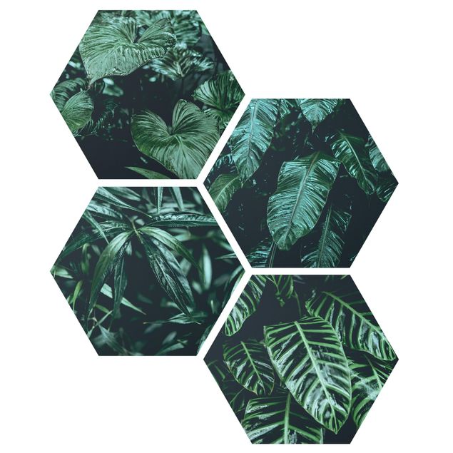 Hexagon Bild Alu-Dibond 4-teilig - Tropische Pflanzen