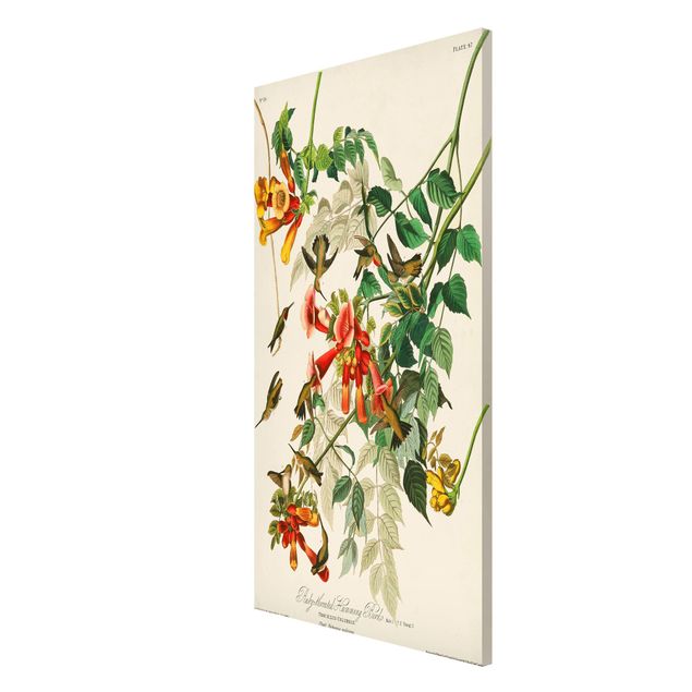 Magnettafel Blumen Vintage Lehrtafel Rubinkehlkolibris