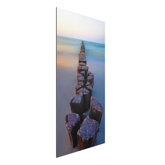 Bilder für die Wand Buhnen bei Sonnenuntergang am Meer