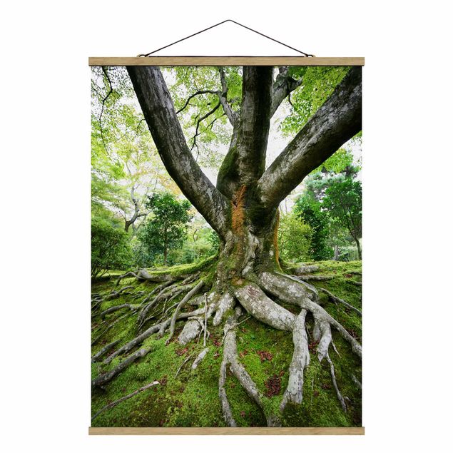 Stoffbild mit Posterleisten - Alter Baum - Hochformat 3:4